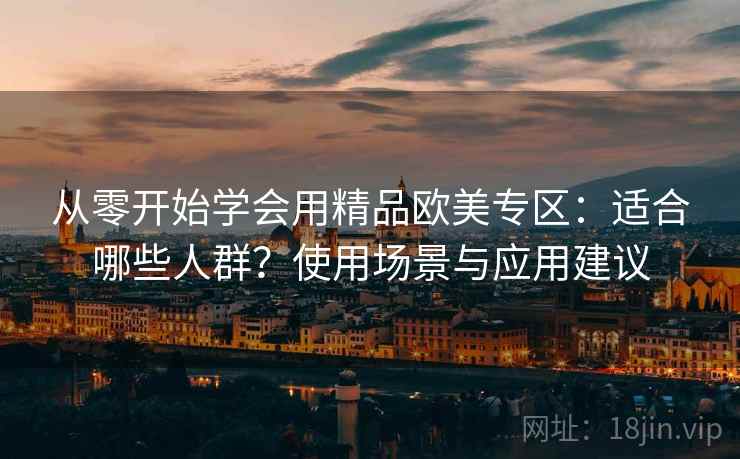 从零开始学会用精品欧美专区：适合哪些人群？使用场景与应用建议