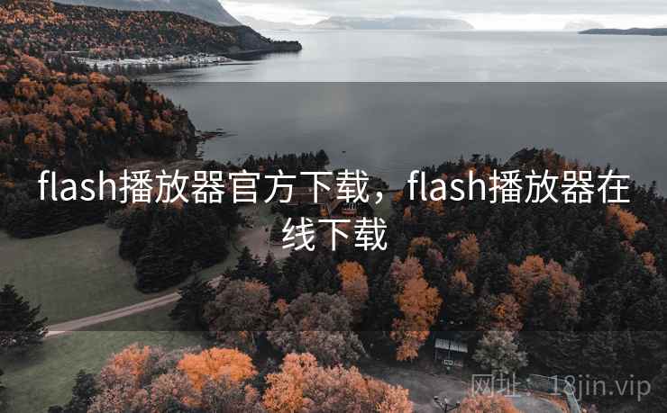 flash播放器官方下载，flash播放器在线下载