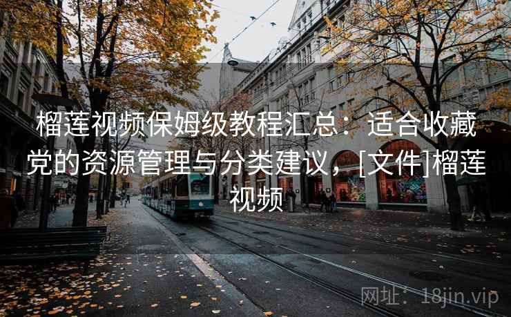 榴莲视频保姆级教程汇总：适合收藏党的资源管理与分类建议，[文件]榴莲视频