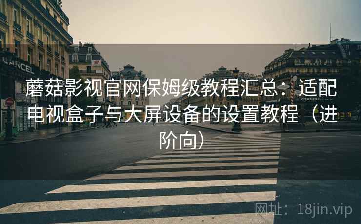 蘑菇影视官网保姆级教程汇总：适配电视盒子与大屏设备的设置教程（进阶向）