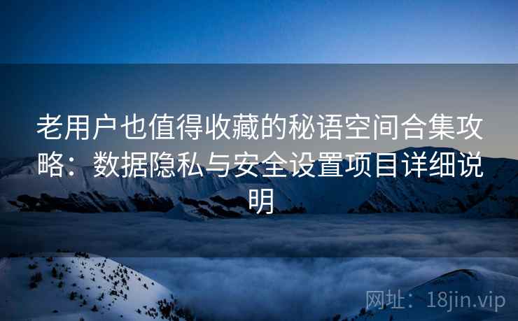 老用户也值得收藏的秘语空间合集攻略：数据隐私与安全设置项目详细说明