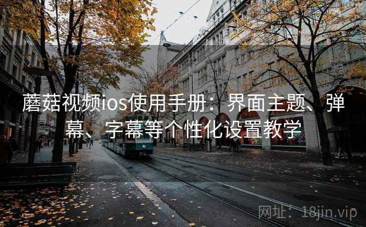 蘑菇视频ios使用手册:界面主题、弹幕、字幕等个性化设置教学 蘑菇视频ios使用手册:界面主题、弹幕、字幕等个性化设置教学