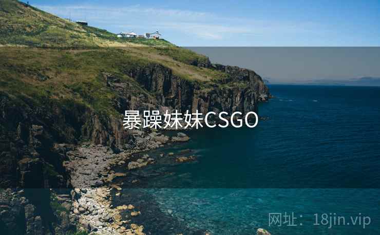 暴躁妹妹CSGO