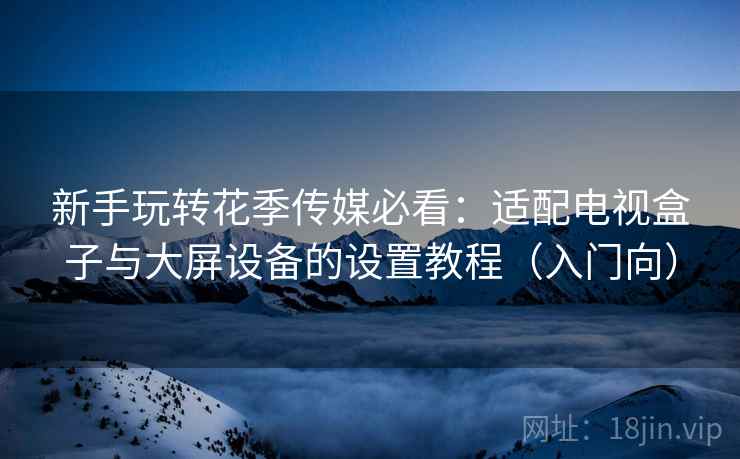 新手玩转花季传媒必看:适配电视盒子与大屏设备的设置教程(入门向) 新手玩转花季传媒必看:适配电视盒子与大屏设备的设置教程(入门向)