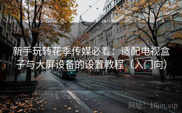 新手玩转花季传媒必看：适配电视盒子与大屏设备的设置教程（入门向）