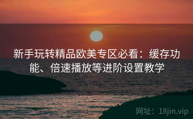新手玩转精品欧美专区必看：缓存功能、倍速播放等进阶设置教学