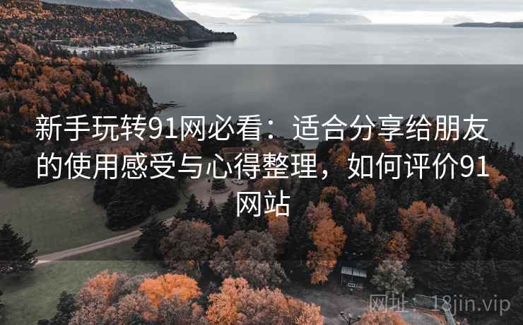 新手玩转91网必看：适合分享给朋友的使用感受与心得整理，如何评价91网站
