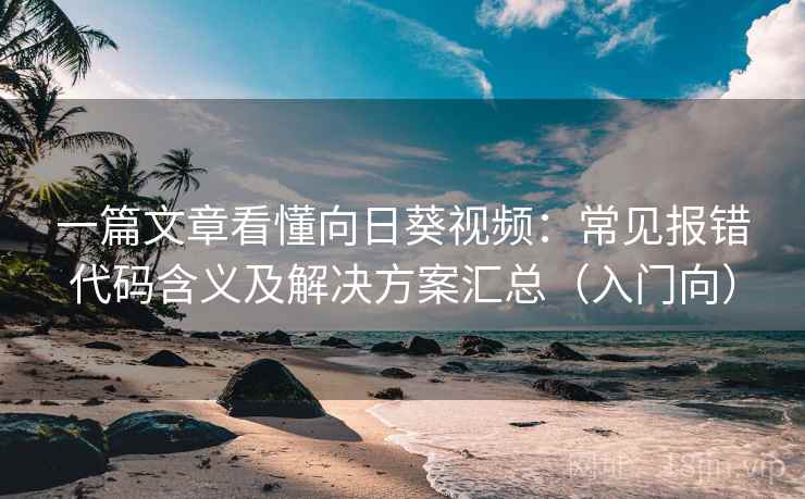 一篇文章看懂向日葵视频：常见报错代码含义及解决方案汇总（入门向）