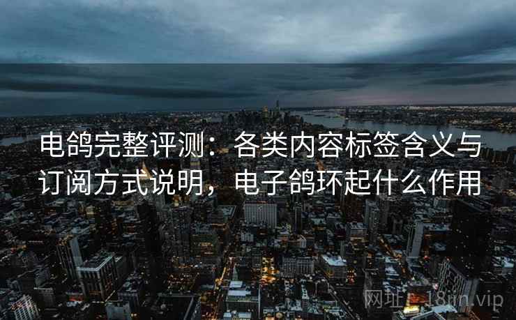 电鸽完整评测：各类内容标签含义与订阅方式说明，电子鸽环起什么作用