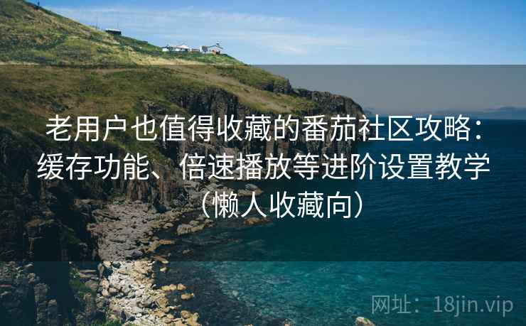 老用户也值得收藏的番茄社区攻略：缓存功能、倍速播放等进阶设置教学（懒人收藏向）