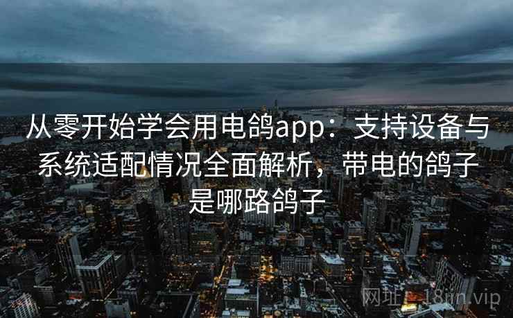 从零开始学会用电鸽app:支持设备与系统适配情况全面解析,带电的鸽子是哪路鸽子 从零开始学会用电鸽app:支持设备与系统适配情况全面解析,带电的鸽子是哪路鸽子